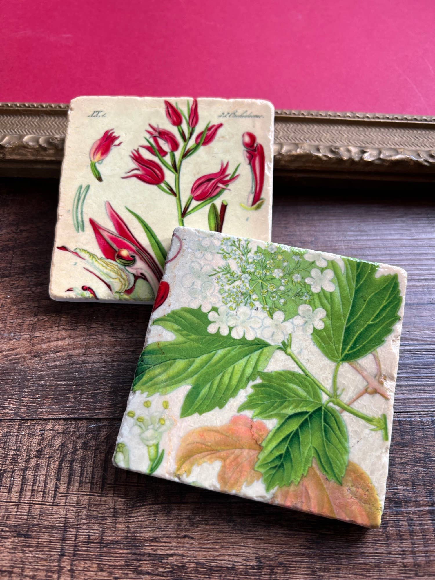 Pretty Pink Botanicals Stone Coaster | Single