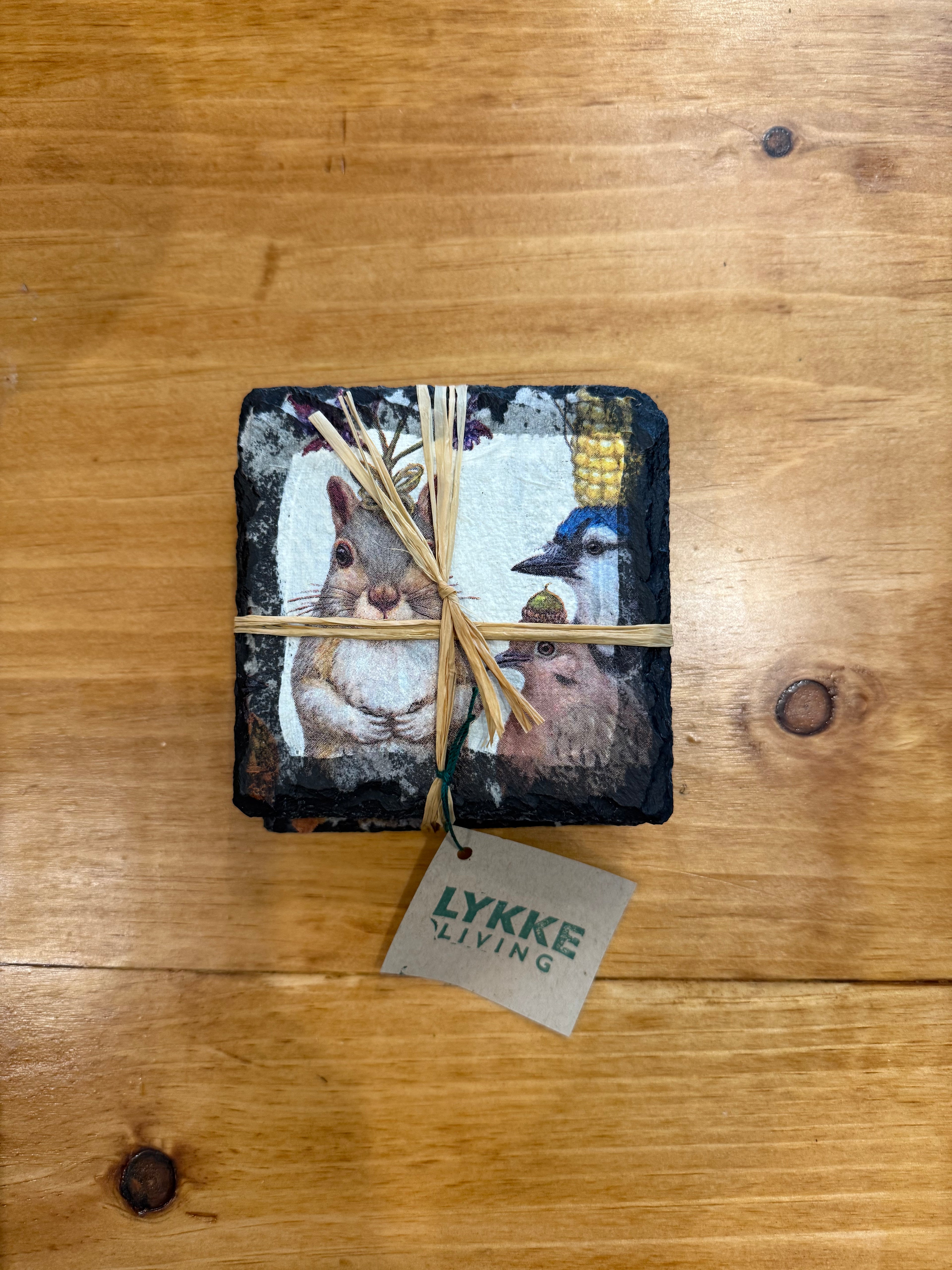 Squirrel coasters, set of 4