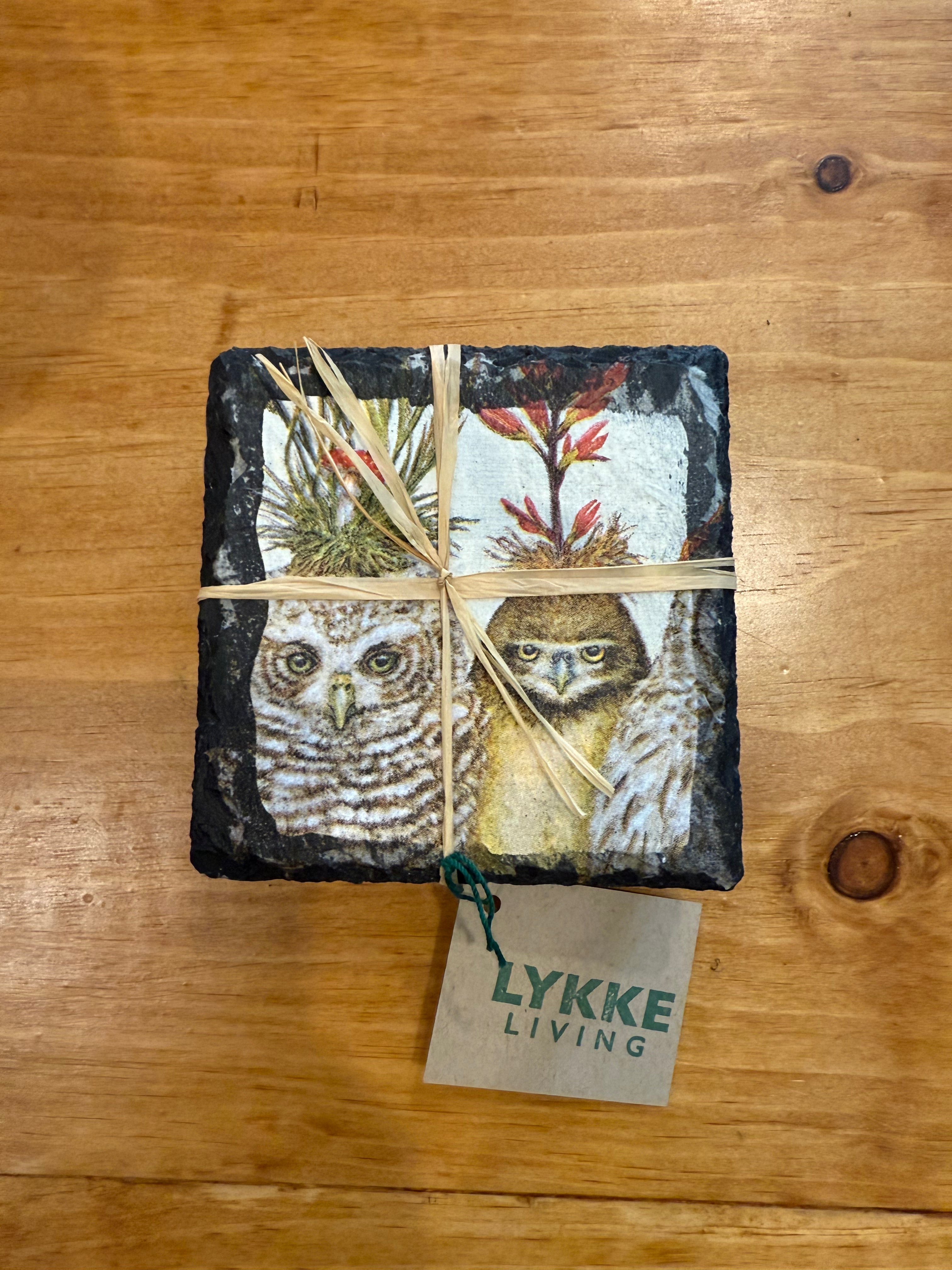 Owls coasters, set of 4
