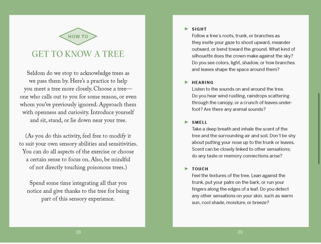Pocket Nature: Tree Hugging