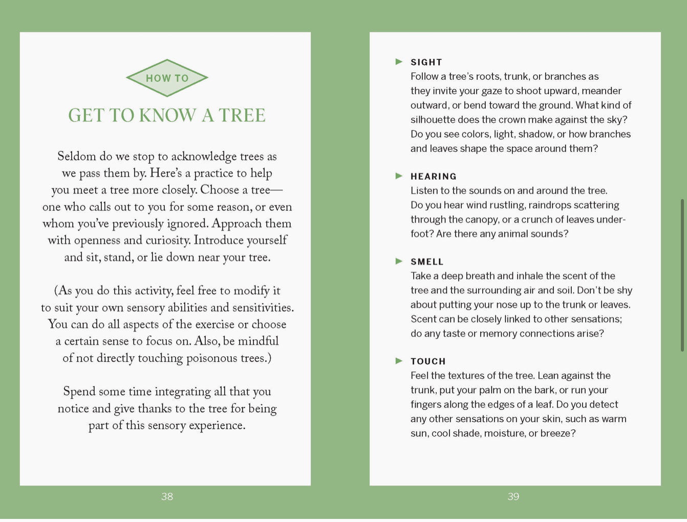 Pocket Nature: Tree Hugging