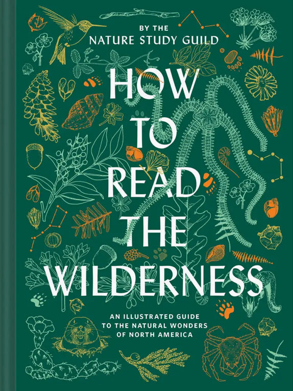 How To Read the Wilderness
