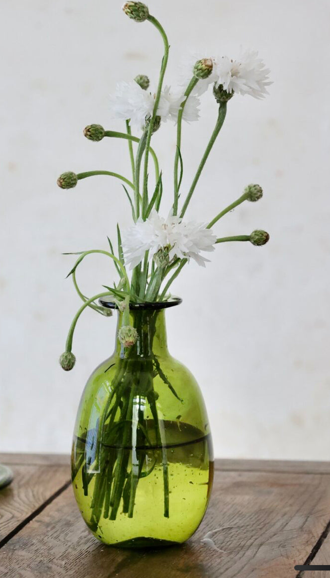 Amour Sans Anse Olive