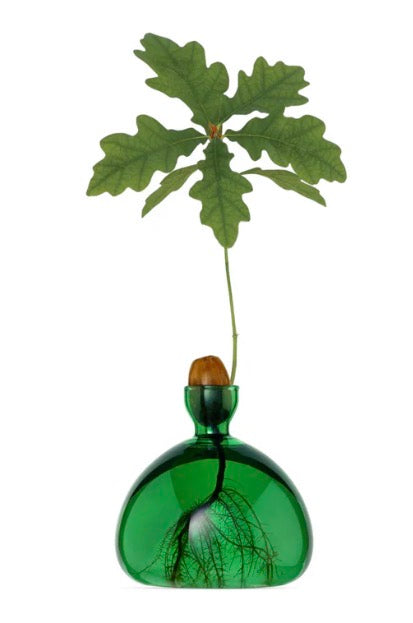Acorn Vase