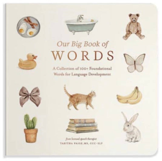 Our Big Book of Words children's board book cover, featuring a cream background with watercolor illustrations of a duck, eggs, bathtub, teddy bear, butterfly, bananas, cactus, books, rabbit, and bow, with the title in brown lettering.