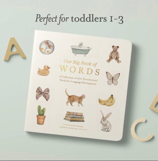 Our Big Book of Words toddler book cover shown at an angle on a pale blue background with wooden letters A, C, and part of D around it. The cover is cream with illustrated words in place of nouns and decorative drawings including a duck, butterfly, cat, banana, rabbit, and cactus.