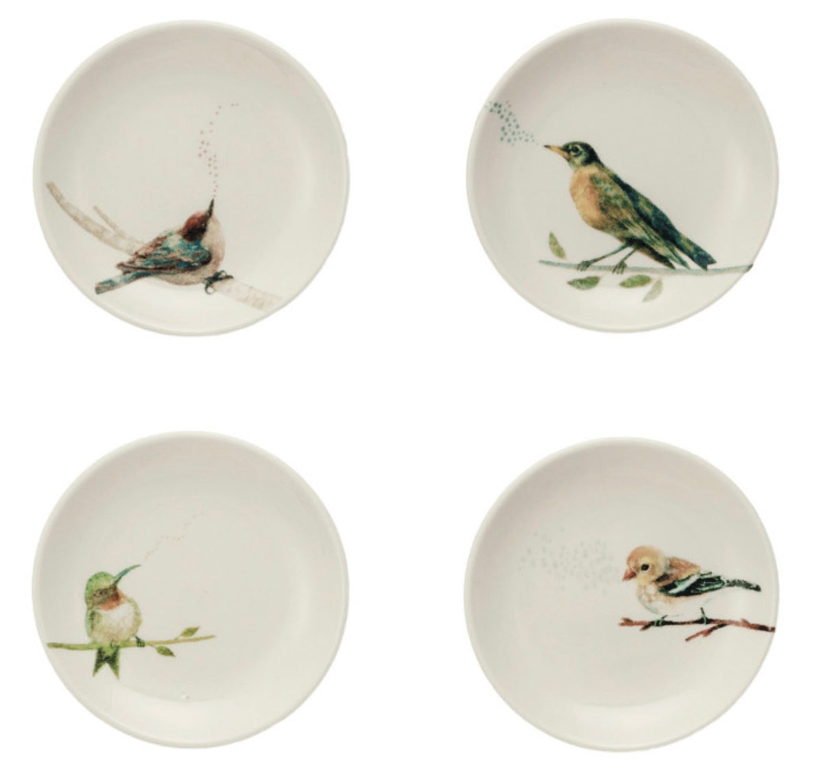 Four round white ceramic plates arranged in a 2x2 grid, each decorated with a different painted bird on a branch, including a hummingbird, robin, greenbird, and finch.