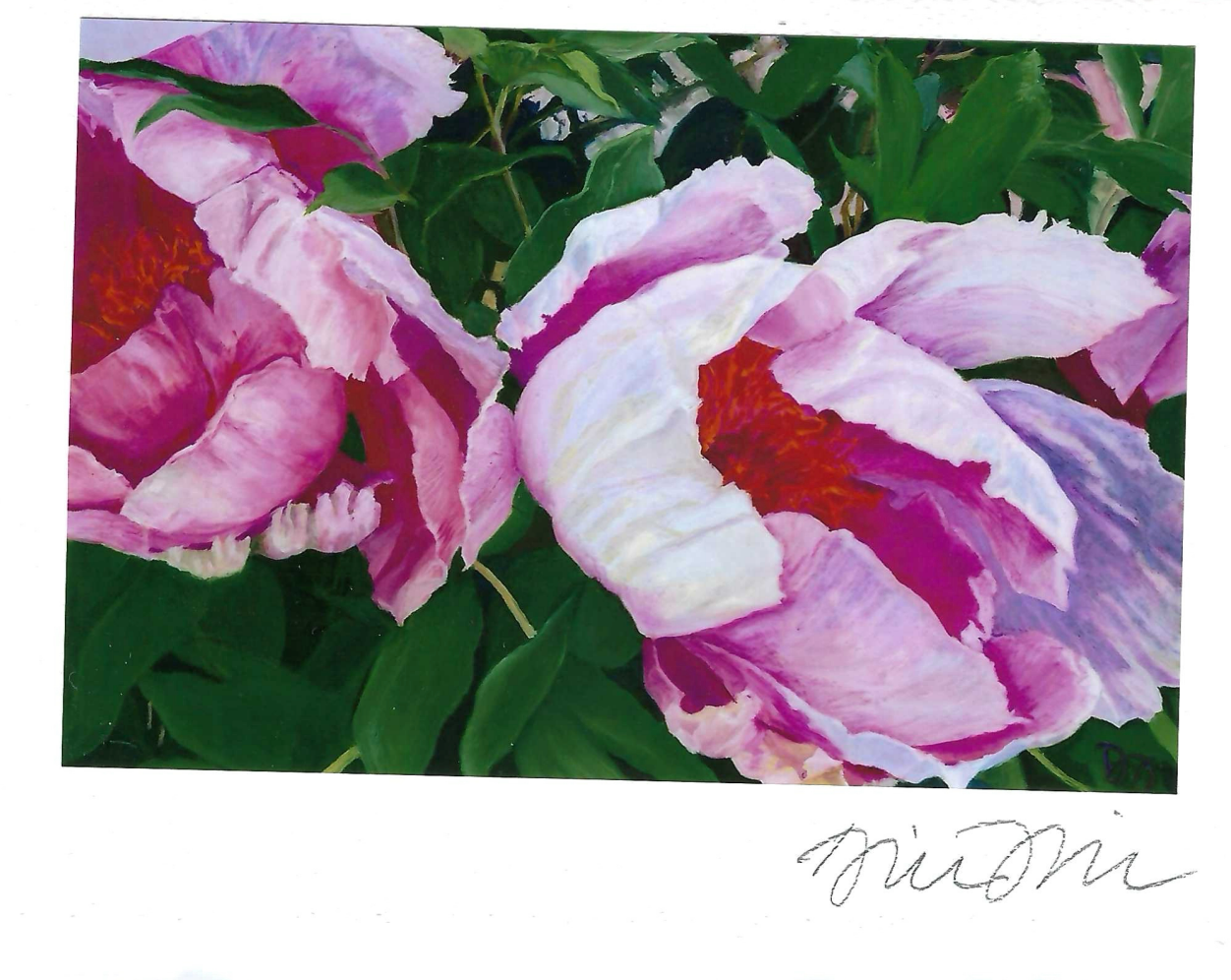 Two peonies Print Card