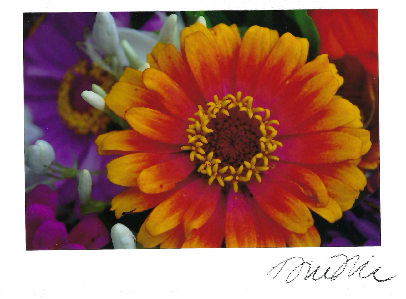 Psychedelic Bouquet Print Card