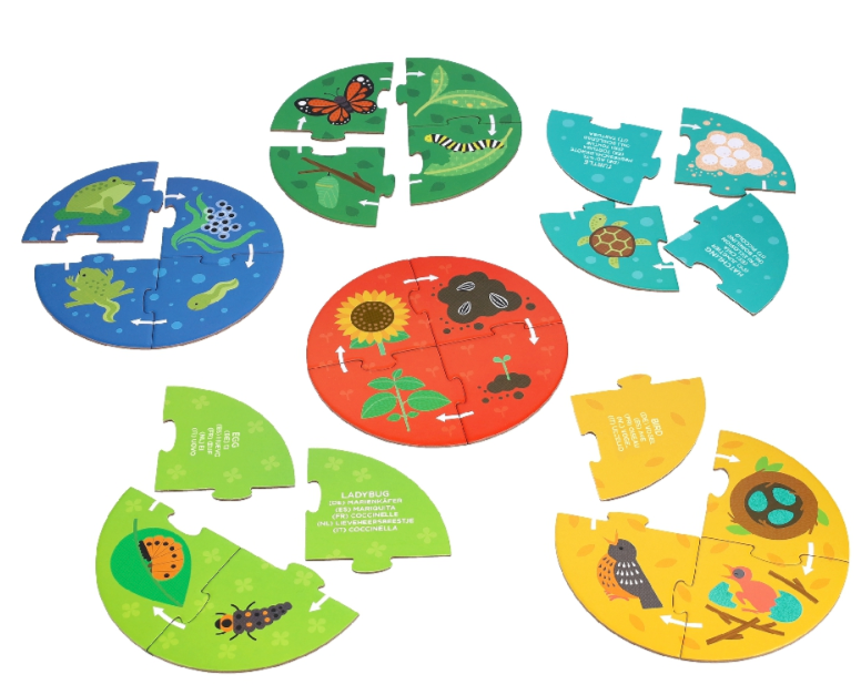 Discovery Puzzle: Life Cycle — Six 4-Piece Puzzles | Petit Collage