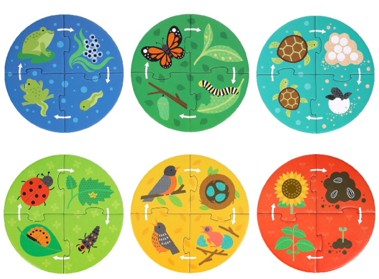 Discovery Puzzle: Life Cycle — Six 4-Piece Puzzles | Petit Collage