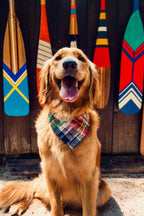Montauk Patchwork Madras Bandana