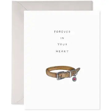 Pet Collar
