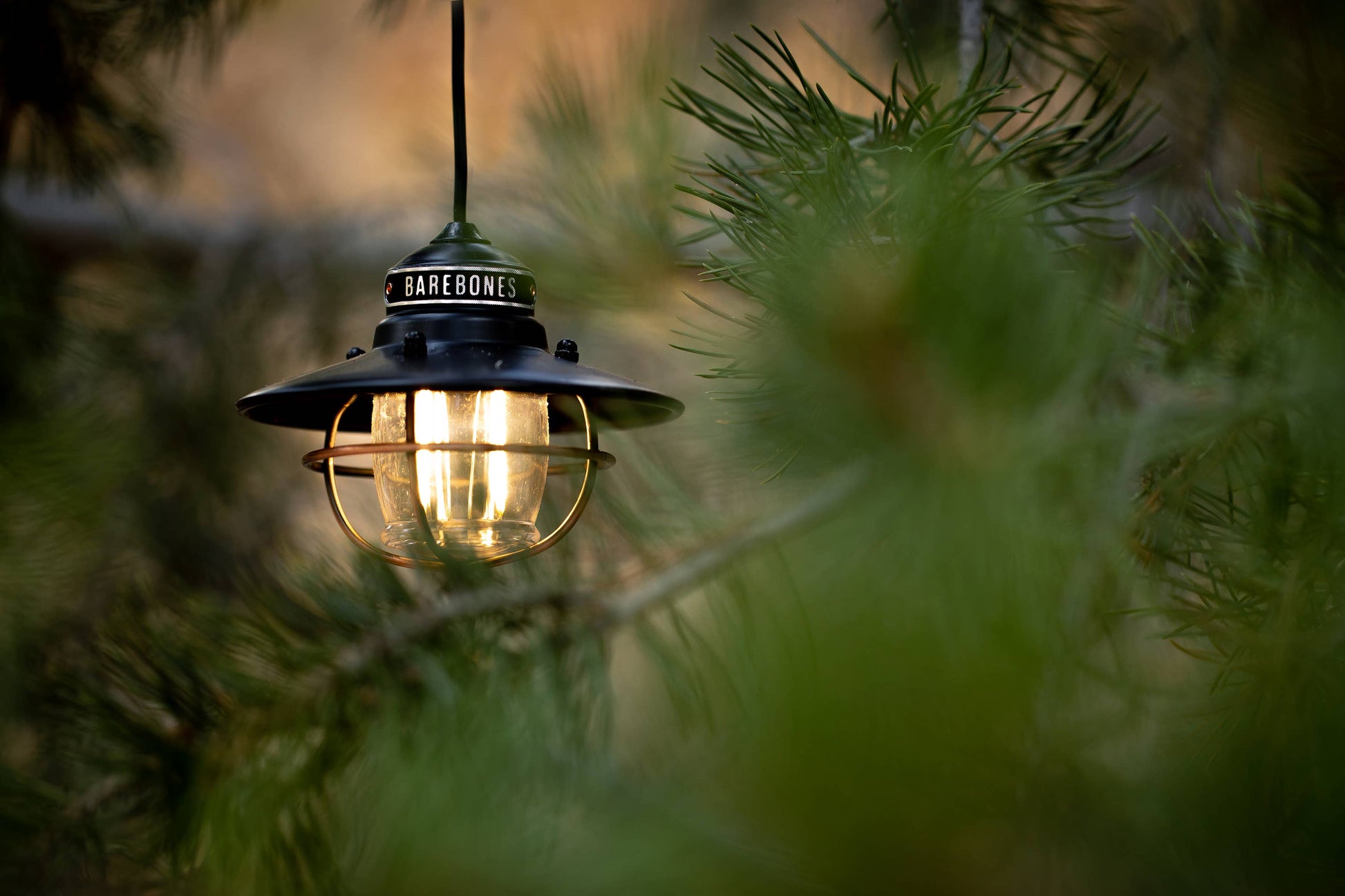 Edison Pendant Light: Antique Bronze
