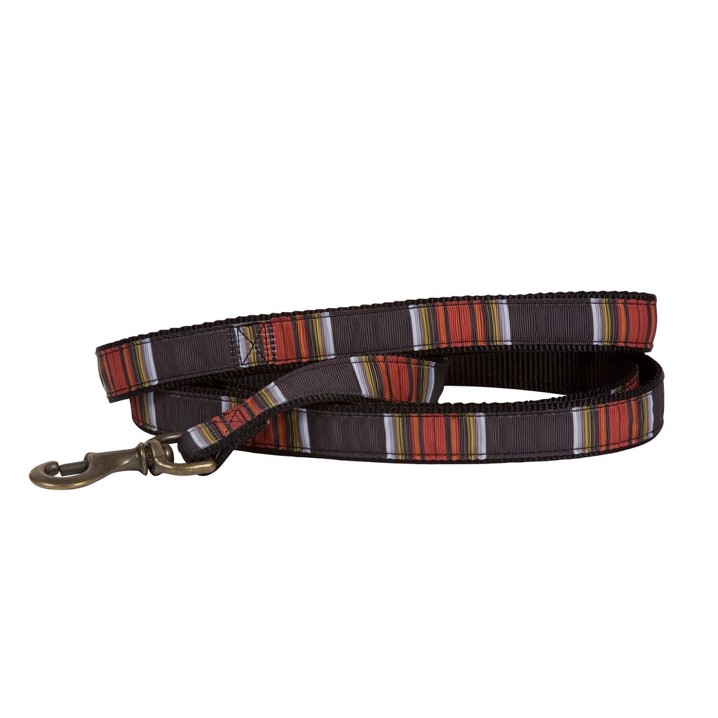 Park Hiker Dog Leash