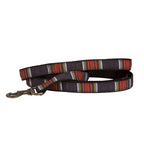 Park Hiker Dog Leash