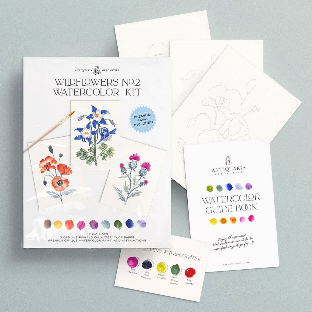 Antiquaria Wildflowers No. 2 Watercolor Kit with watercolor paper, guide book, and paint swatches on a gray background.