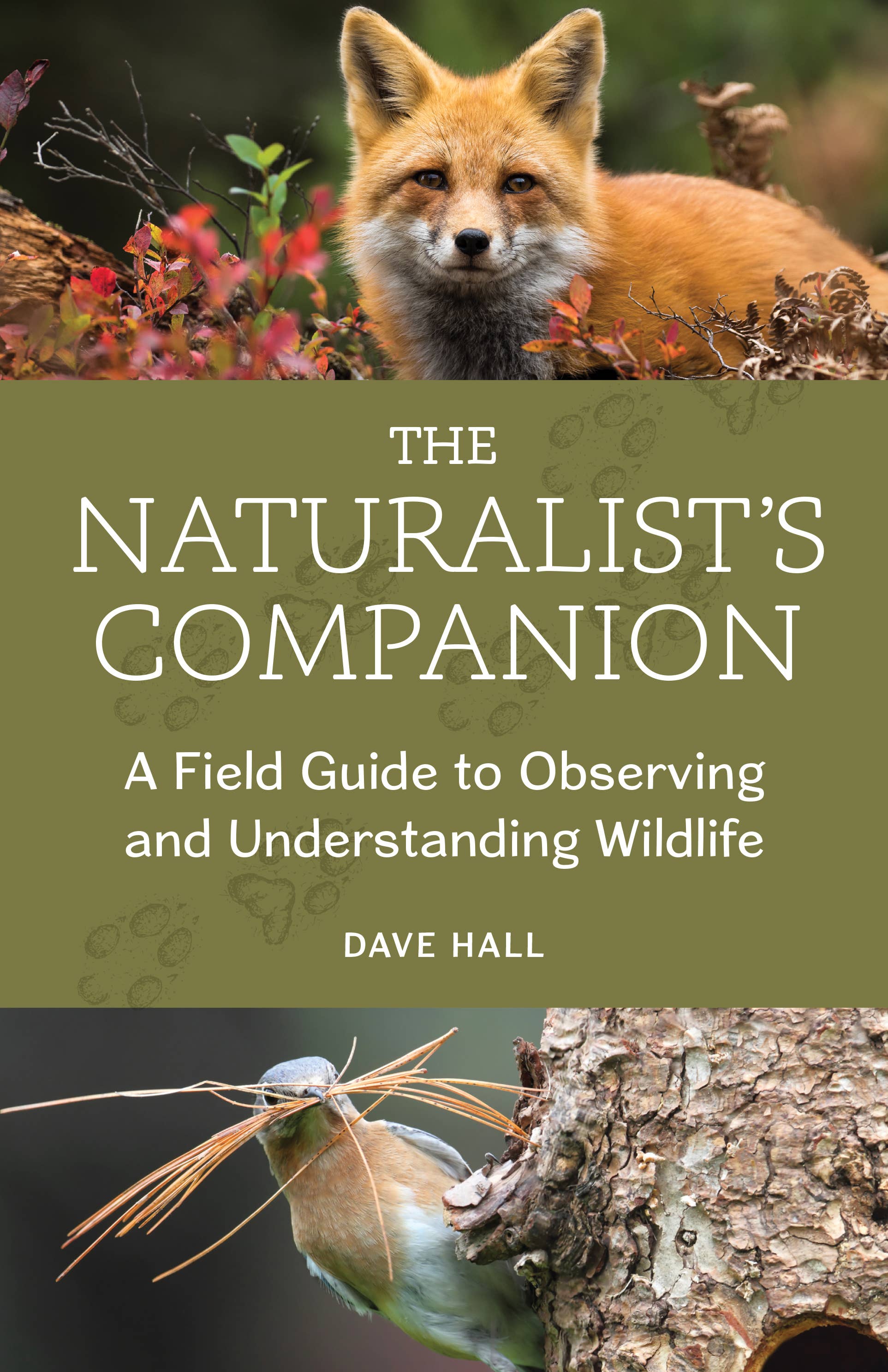 The Naturalist's Companion book