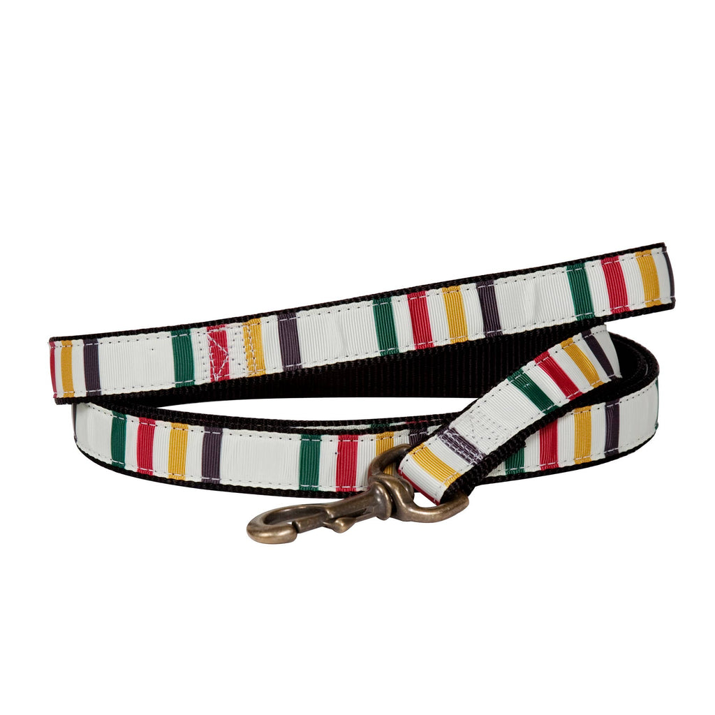 Park Hiker Dog Leash