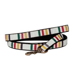 Park Hiker Dog Leash