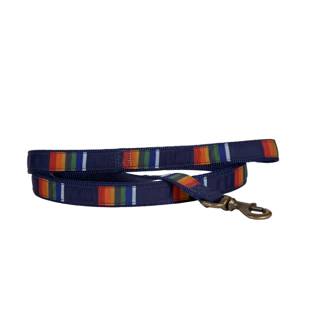 Park Hiker Dog Leash