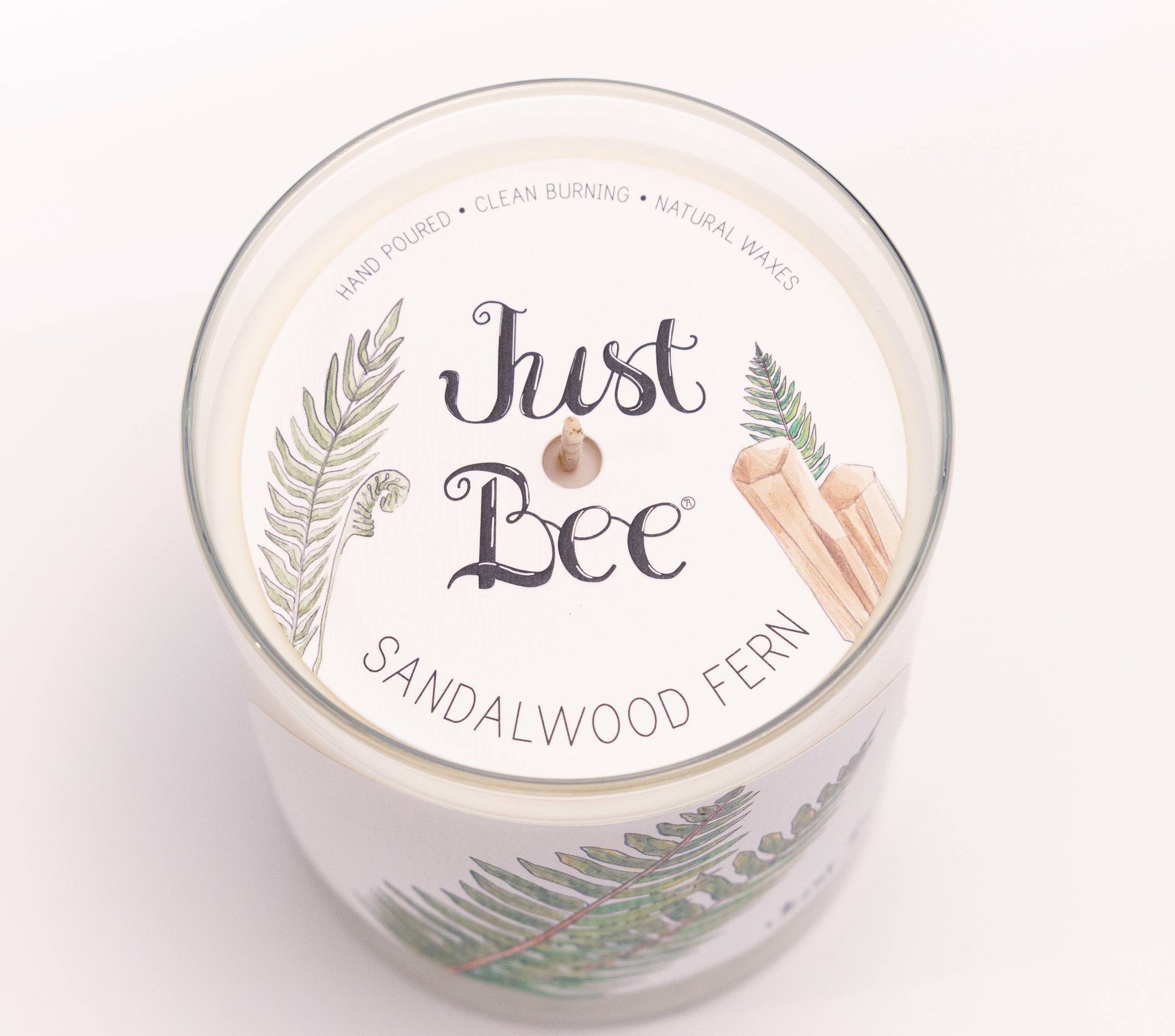 Top-down view of a Just Bee Sandalwood Fern scented candle in a clear glass jar with white wax and a white label featuring green fern illustrations.