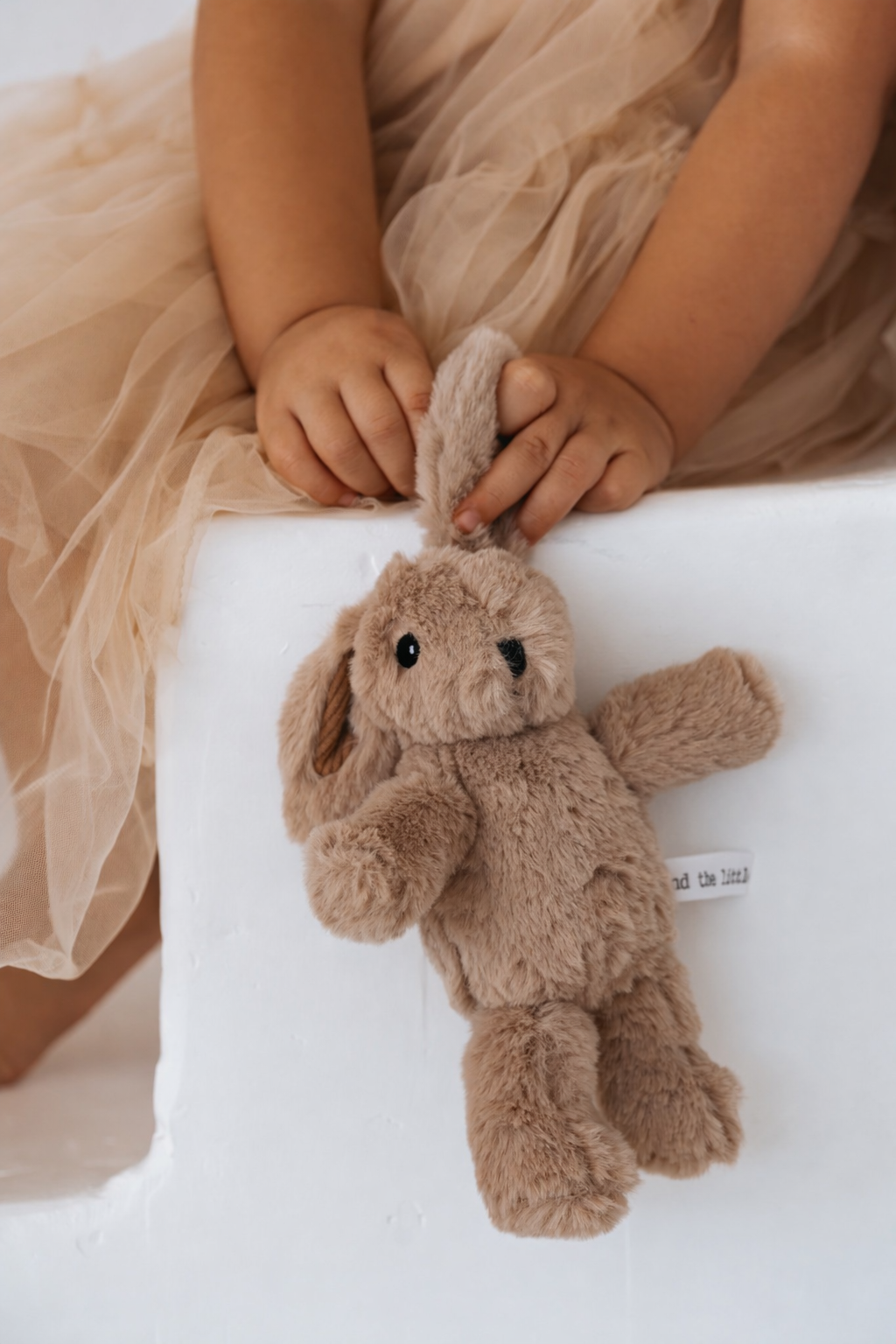 Child holding a brown plush bunny toy on a white surface