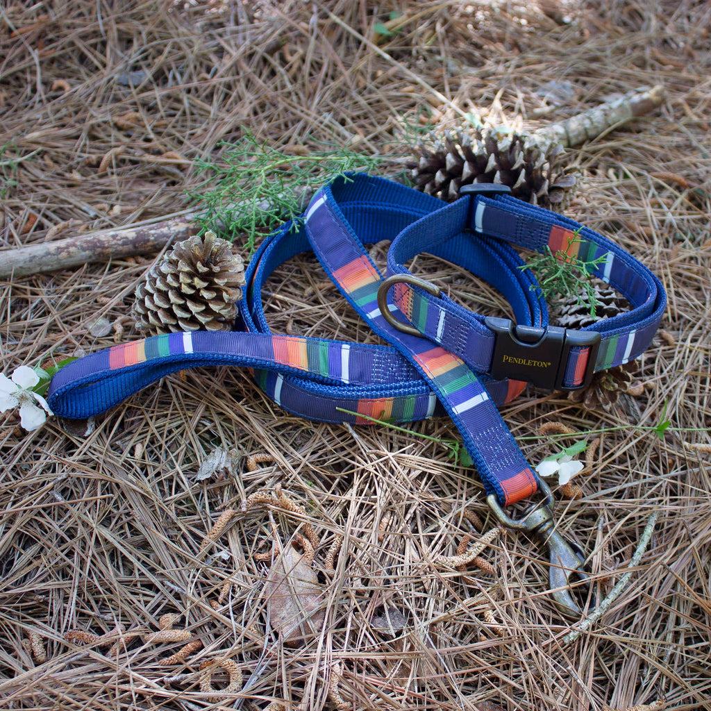 Park Hiker Dog Leash