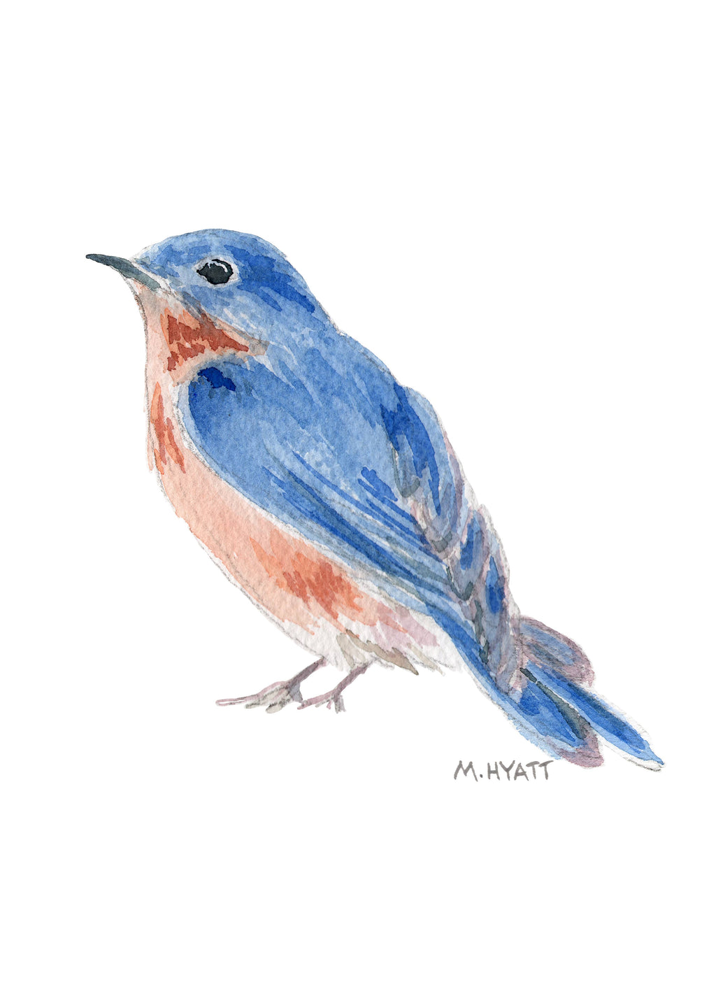 Watercolor painting of a bluebird with a bright blue back and wings, a warm orange-red chest, and pale grayish legs, shown on a plain white background with the artist signature M. Hyatt below.