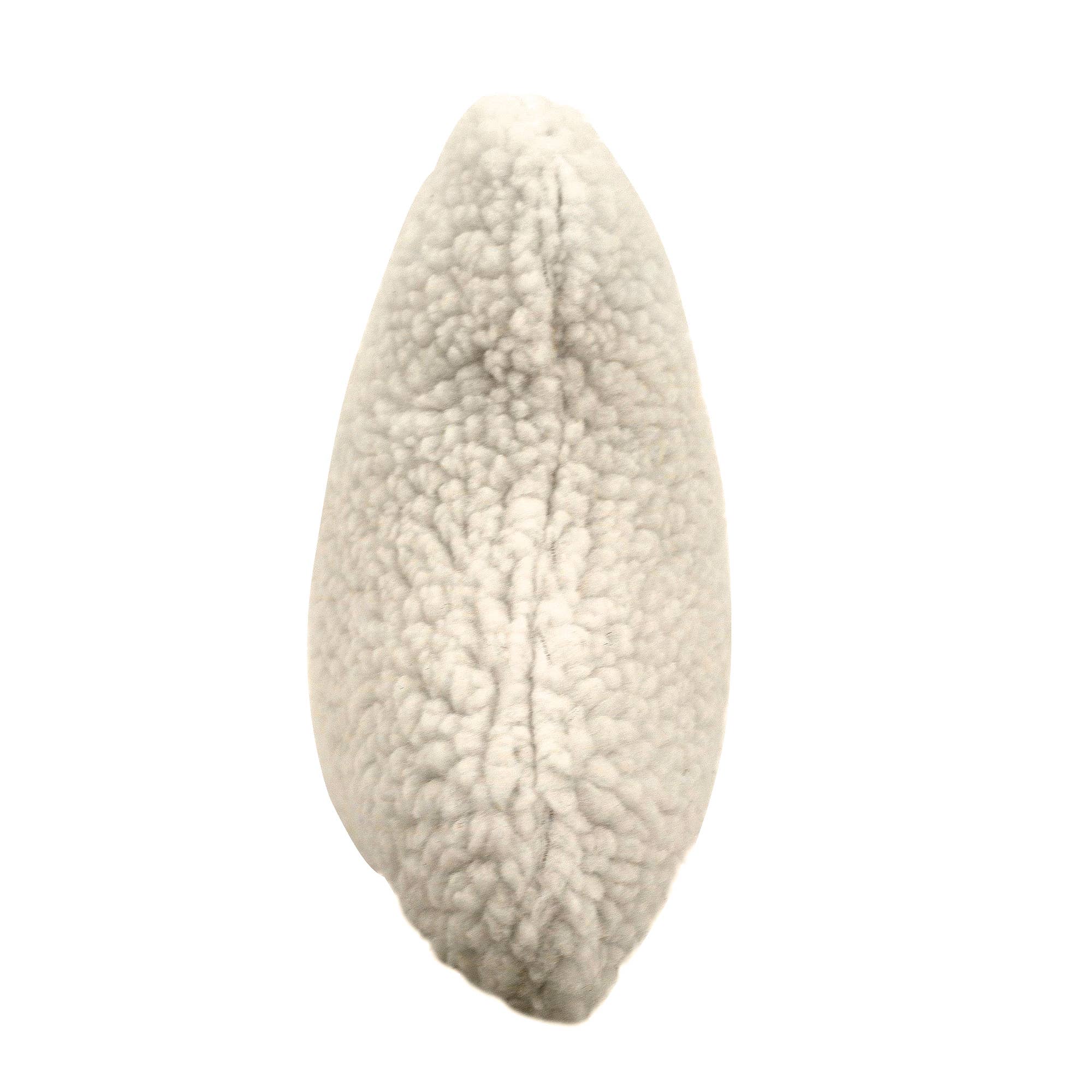 Sherpa Bone Pillow Toy with Squeaker