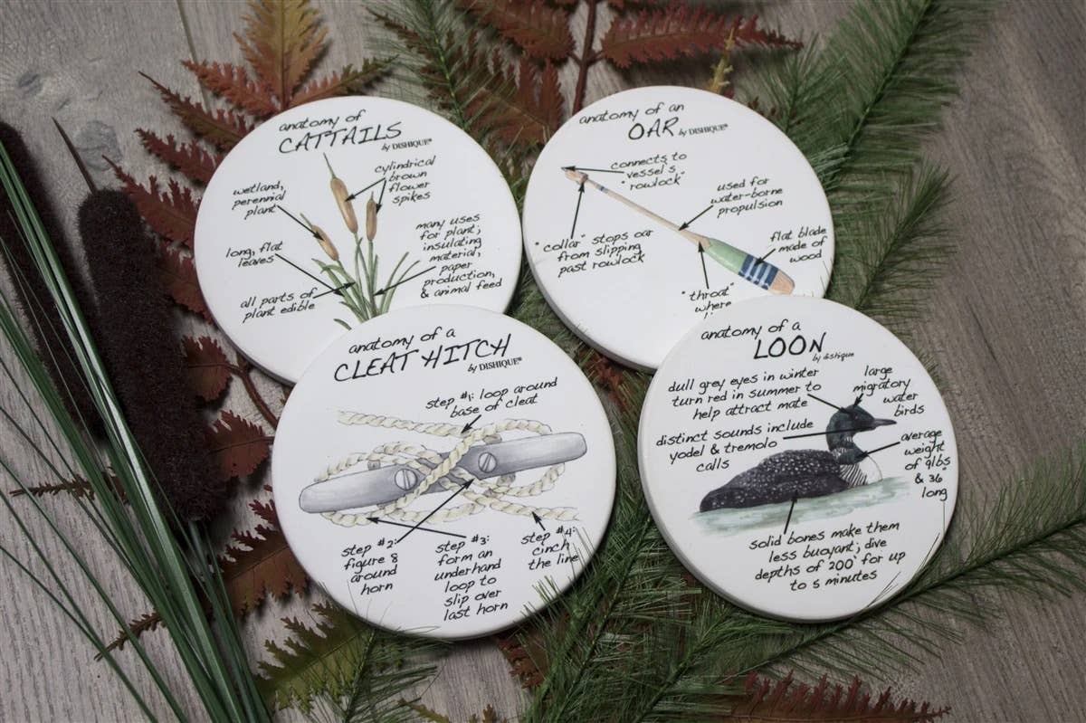Lake Life Anatomy Coasters