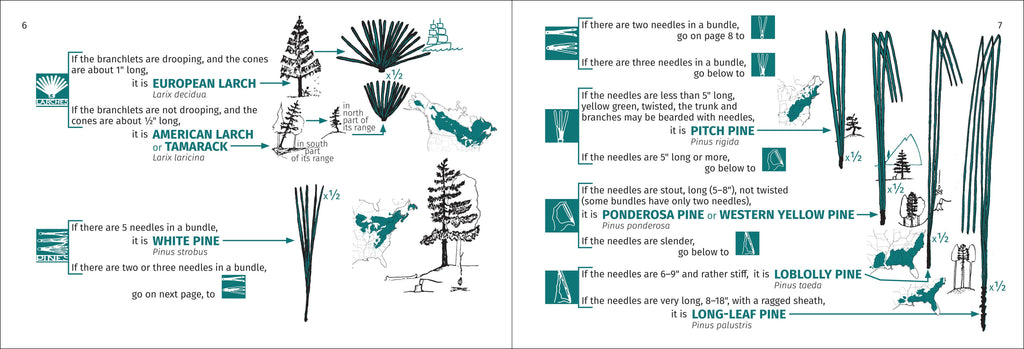 Tree Finder Eastern 3e
