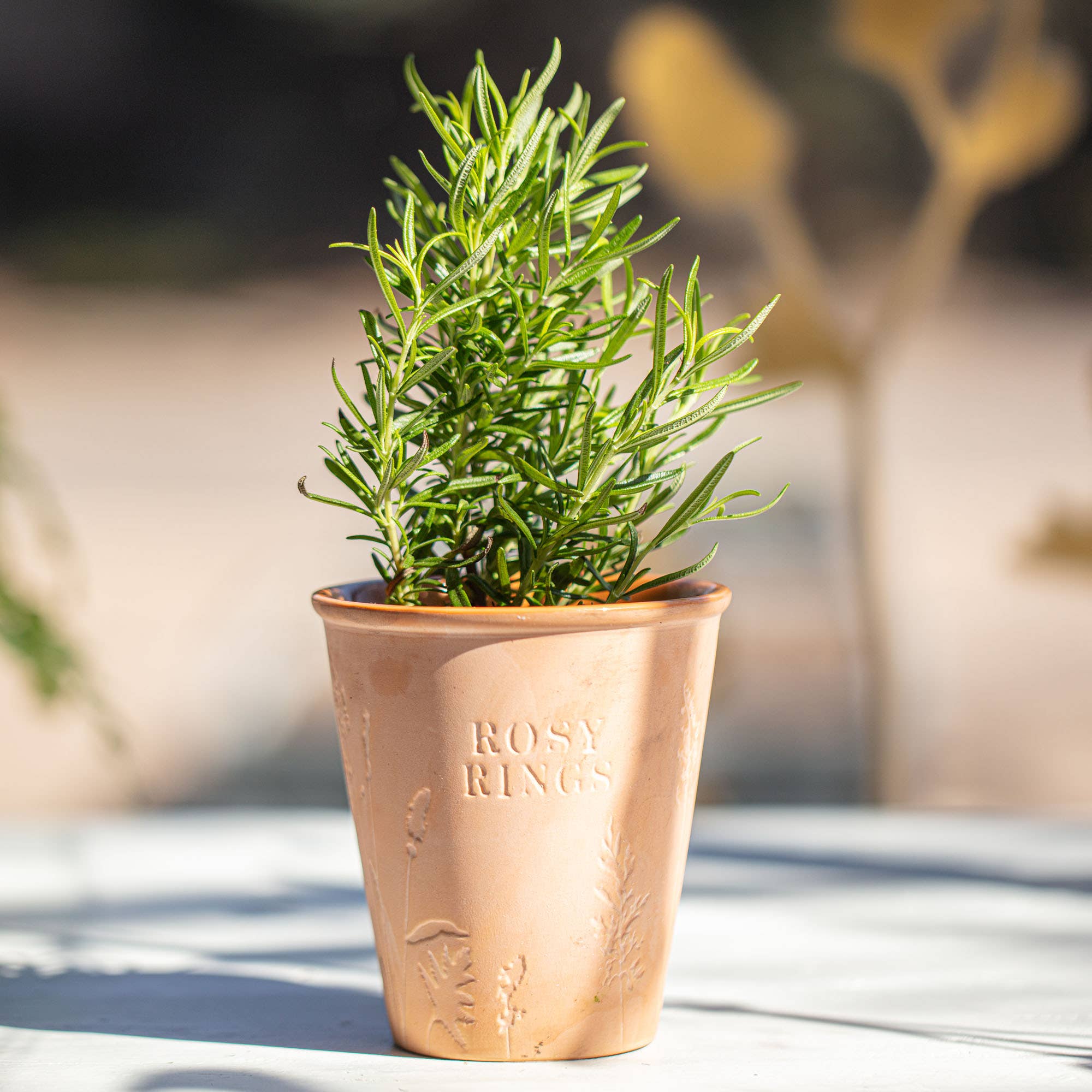Dirt Garden Pot Candle + Plantable Seed Dust Cover
