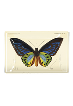 Ben's Garden - Tropical Butterfly No. 6 Decoupage Glass Tray: 4"X 6"