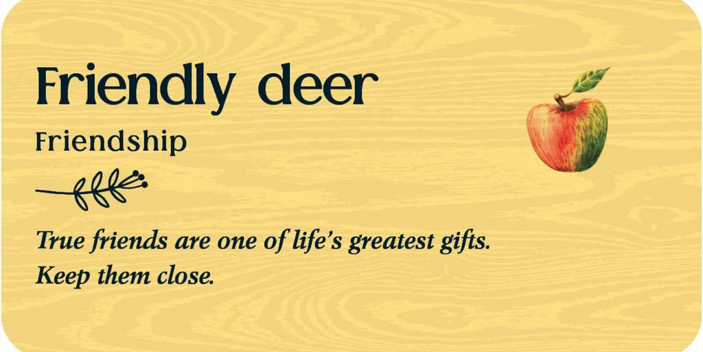 Forest Friends Flashcards — Tijana Lukovic | 40 Cards