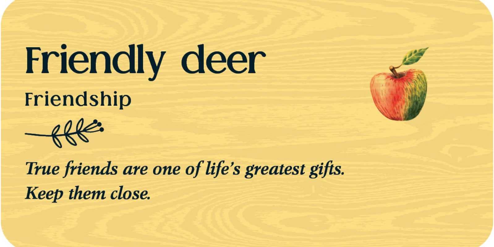 Forest Friends Flashcards — Tijana Lukovic | 40 Cards