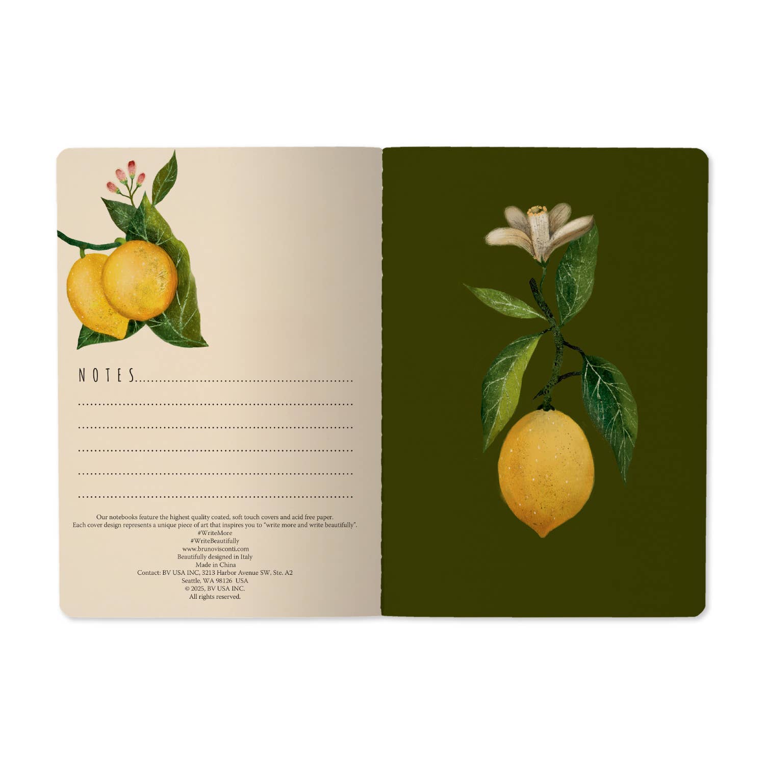 Notebook with lemon illustrations on a white background