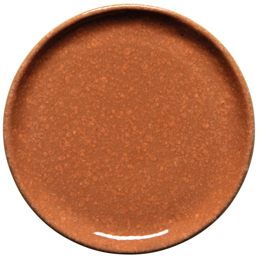A round ceramic plate with a speckled terracotta brown glaze, shown from a top-down perspective on a white background.