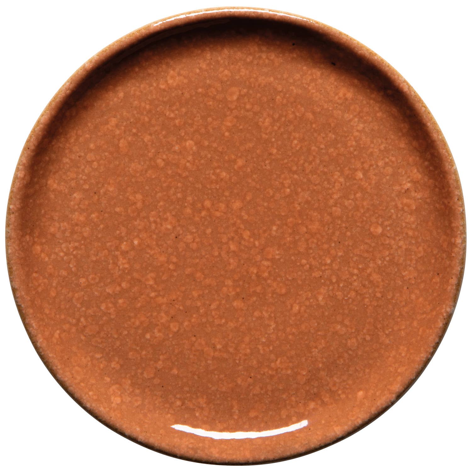 A round ceramic plate with a speckled terracotta brown glaze, shown from a top-down perspective on a white background.