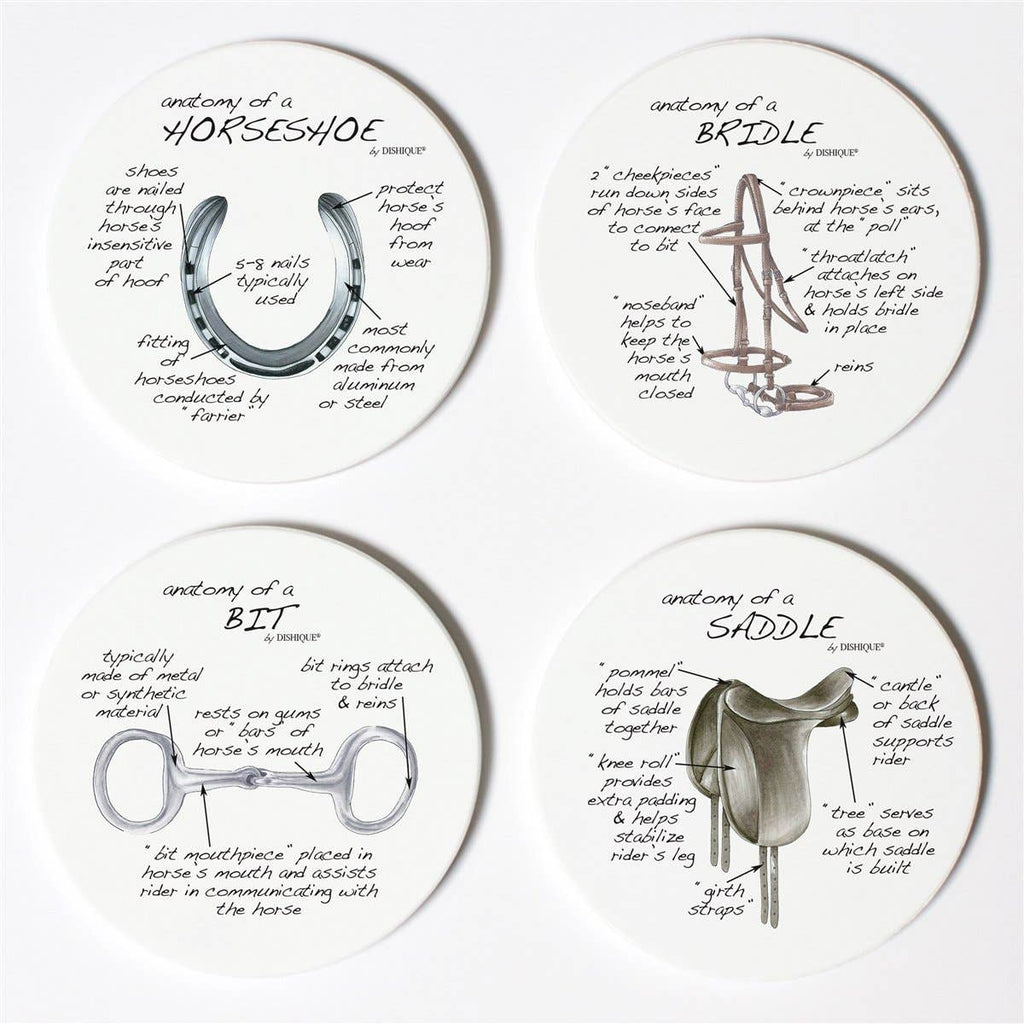 Equestrian Tack Anatomy Coasters