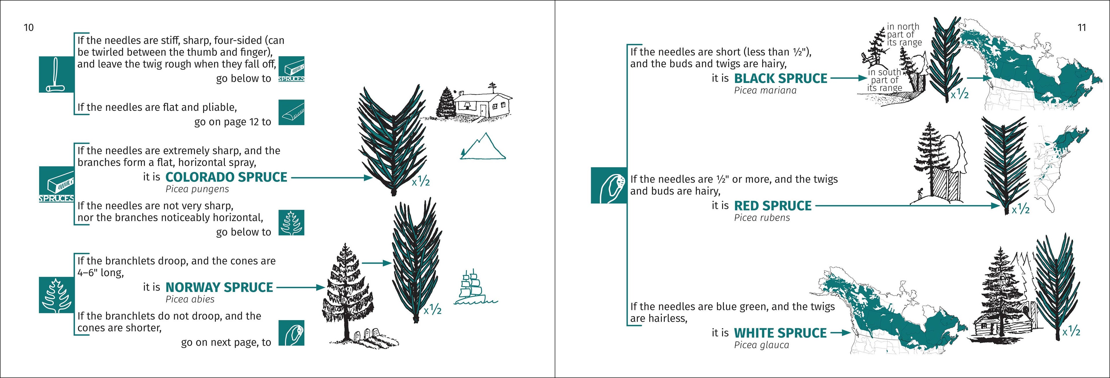 Tree Finder Eastern 3e