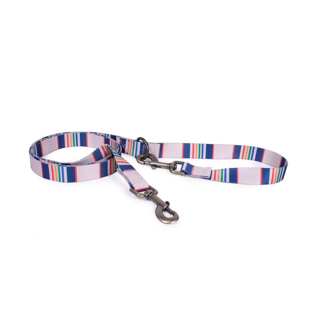 Pendleton National Park Convertible Adventure Dog Leash: Zion / Thin (3/4" wide)