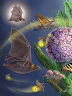 Meet the Pollinators: A Night and Day Adventure