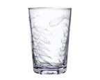 Pair Crystal Tumblers with Fern Design