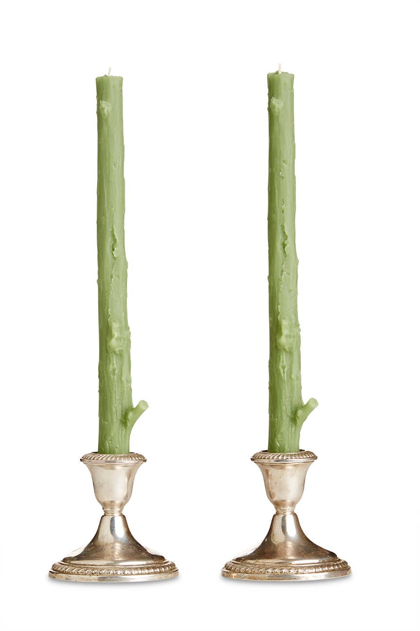 Cedar