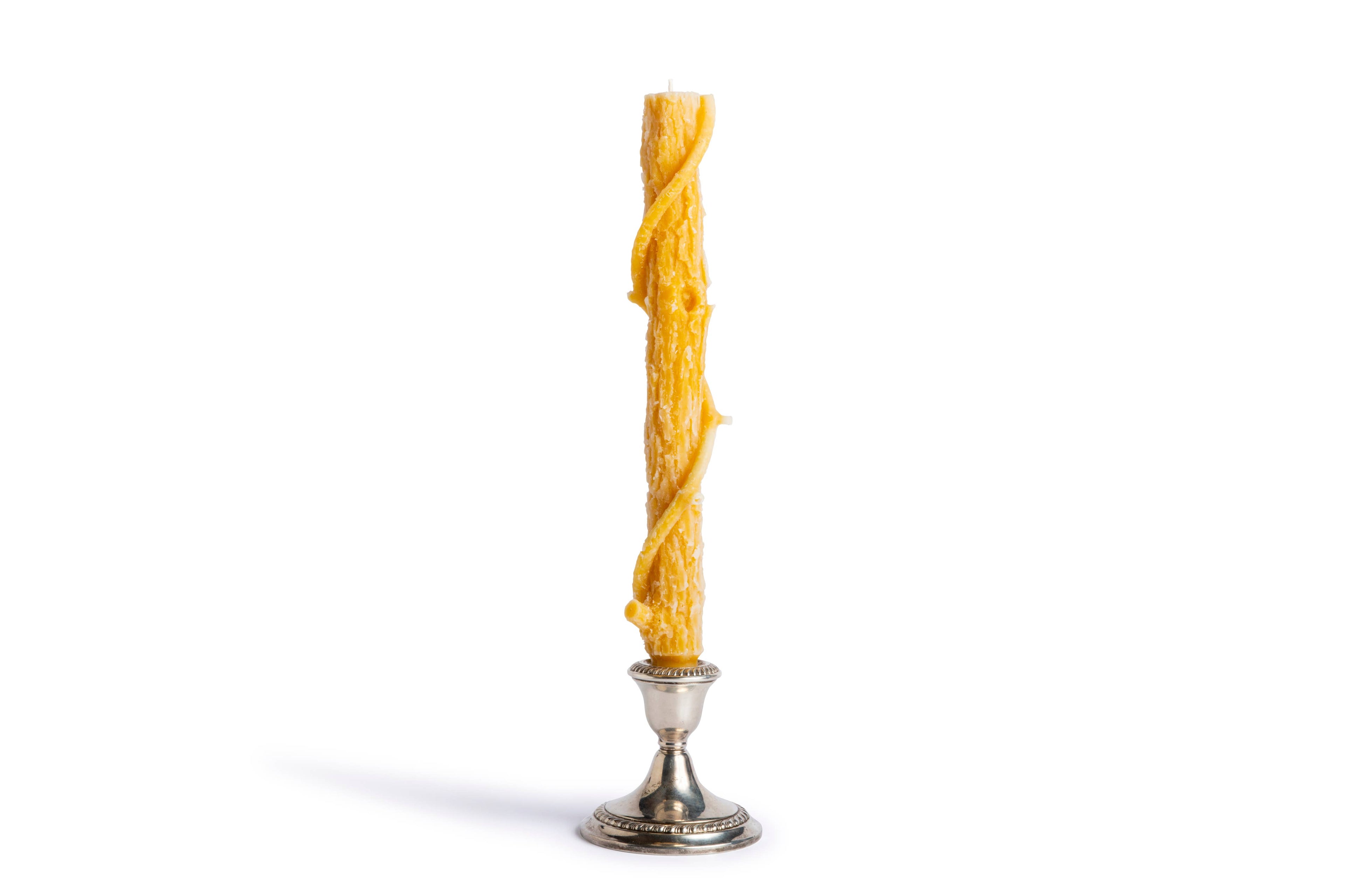 Bittersweet Oak Colossal Taper ~ "The Vine" / Single