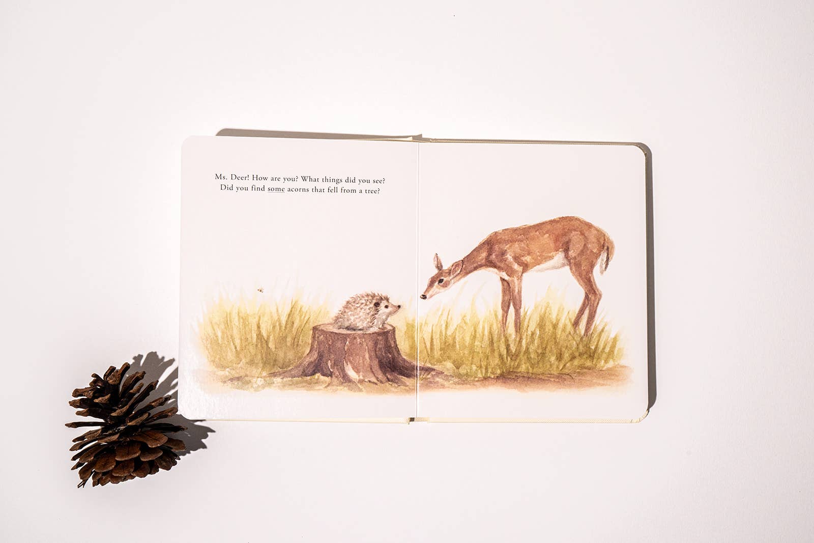 Illustration of a deer and hedgehog on a book page with a pine cone on a white background