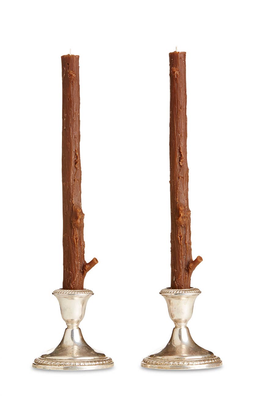 Cedar