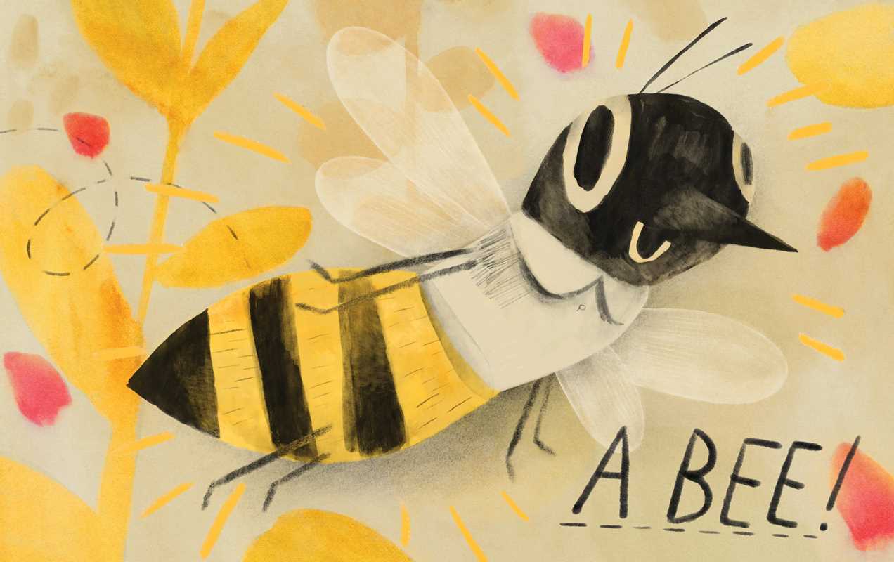 Honeybee by Kirsten Hall: Hardcover; 48 pages / English