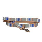 Park Hiker Dog Leash